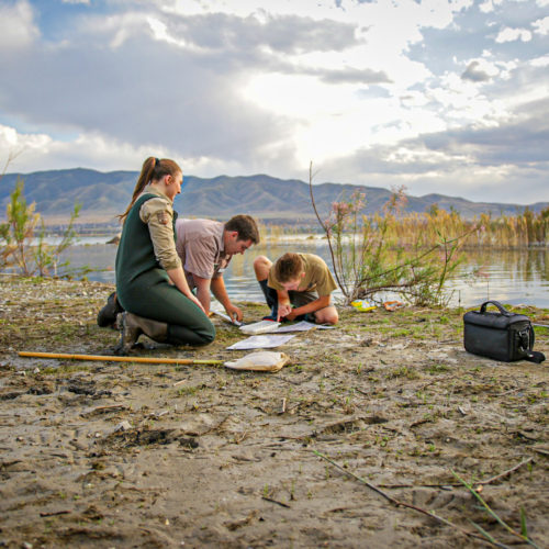 Documenting Micro-invertebrates Utah Lake Field Station
