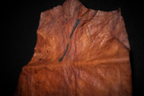 Human skin (leather)-2