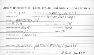 Wilson Jackson's Snipe egg card 25