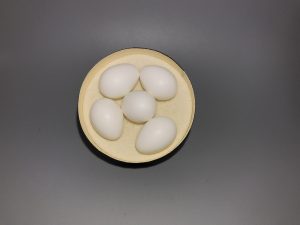 Violet Green Swallow eggs