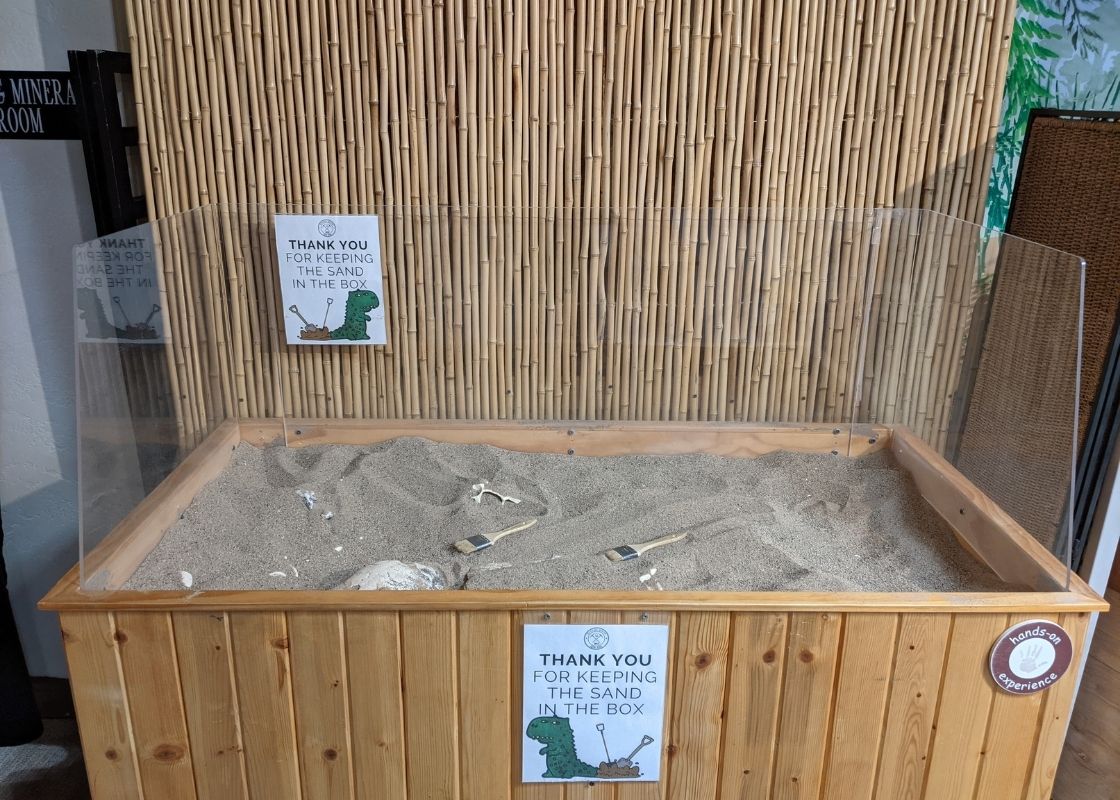 Kids Sand Pit Ancient Life Exhibit