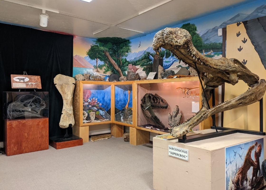 Sarcosuchus Ancient Life Exhibit