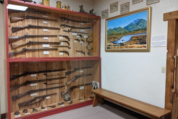 Wild West Exhibit - Guns
