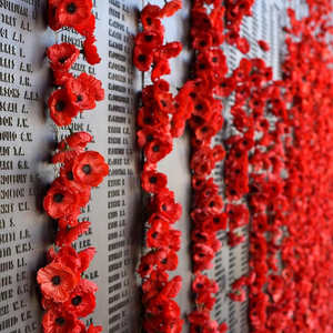Remembrance Wall of Poppies