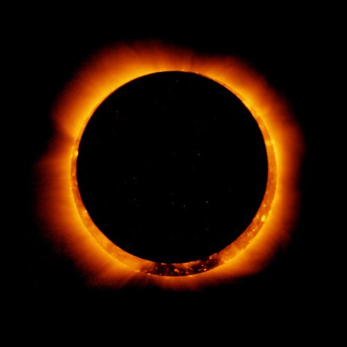 Solar Eclipse Festival 2023 Hutchings Museum Institute