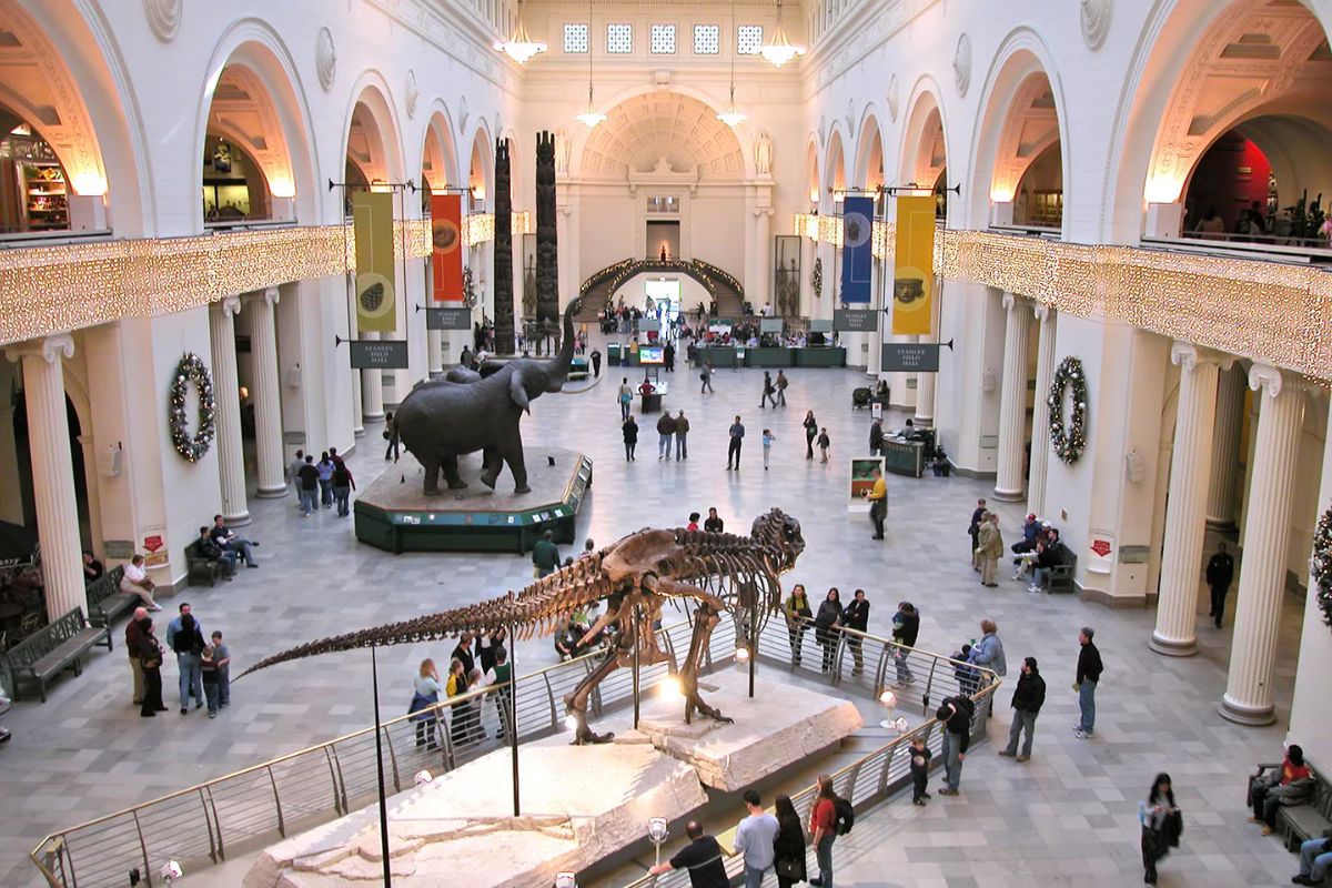 Field Museum of Natural History - Tickets, Exhibitions & All You Need to Know