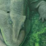 A 275-Million-Year-Old Herbivore With Sideways Teeth May Rewrite Evolution