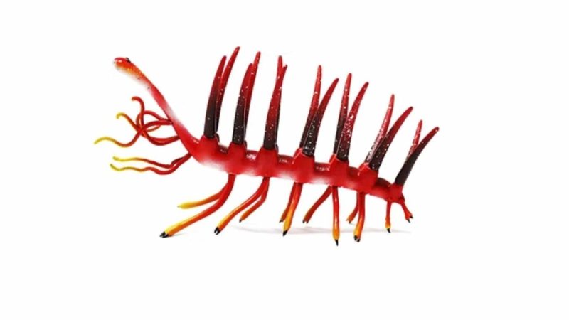 A Fossil Described in 1977 Just Revealed What the Ocean’s Weirdest Worm Eats