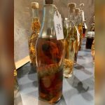 Alpine Viper Grappa Was Sold as Medicine — And the Cost Was Staggering