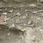 Ancient Bones From Poland Reveal Millet Changed Everything Almost Overnight