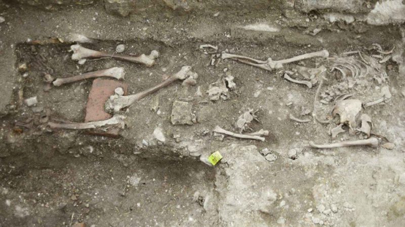 Ancient Bones From Poland Reveal Millet Changed Everything Almost Overnight