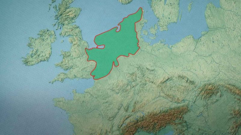 Ancient DNA Reveals Doggerland Was a Forest Refuge Before the Sea Claimed It
