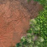 China’s Taklamakan Desert Greening Project Is Now Causing an Unexpected Problem