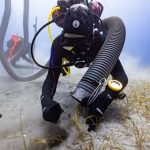 Divers Found a Forgotten Marble Piece From the Acropolis in Lord Elgin’s Wreck