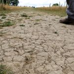 Drought May Be Quietly Fuelling the Rise of Antibiotic Resistance