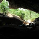 Every Neanderthal in Europe Vanished 65,000 Years Ago Except One Lineage