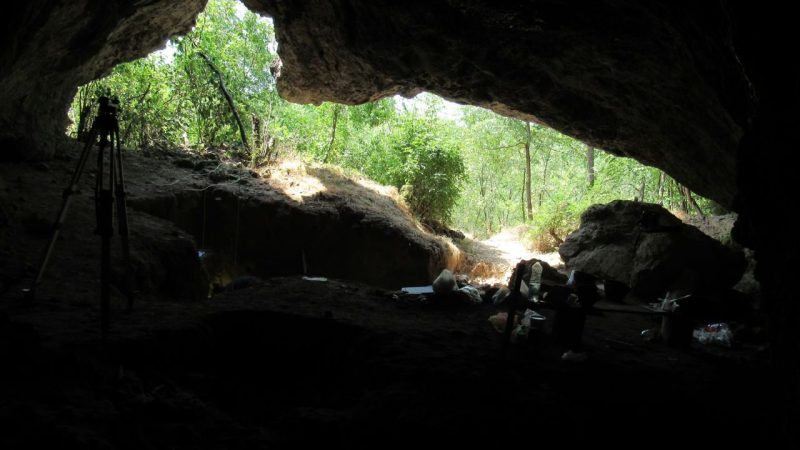 Every Neanderthal in Europe Vanished 65,000 Years Ago Except One Lineage