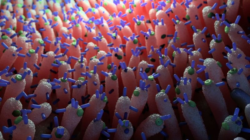 Gut Viruses Found to Influence Blood Sugar in a Way No One Predicted