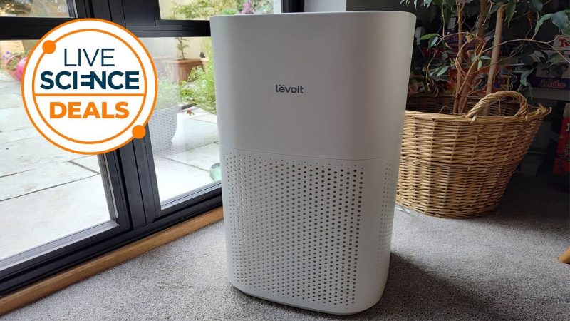 Hay Fever Sufferers Are Quietly Switching to This Air Purifier for Good Reason