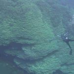 NOAA Just Measured a Coral in the Marianas That May Be 2,000 Years Old