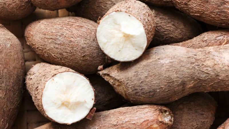 Scientists Are Testing Yam for Memory and Blood Sugar — and Early Results Are Raising Eyebrows