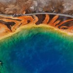 The Paramount+ Deal That Comes With an Actual Bird Is Real