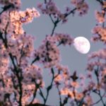 The Stargazing Gear April 2026 Skywatchers Are Quietly Stocking Up On