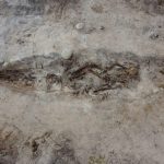 This Viking Woman’s Final Wish With Her Dog Reveals Something Archaeologists Never Expected