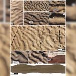 A 180-Million-Year-Old Rock in Morocco Has Scientists Rethinking Ancient Life