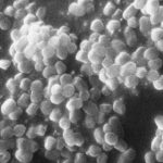 A 5,000-Year-Old Bacterium Woke Up in Romania Already Resistant to Our Drugs