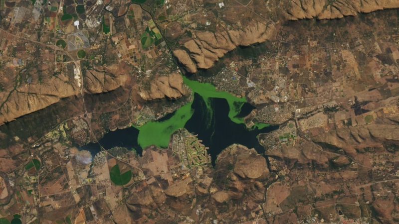 A Vivid-Green Mass Spread Across a South African Reservoir — And It Was Visible From Space