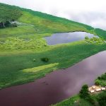 Ancient Carbon Locked in Congo Peatlands Is Starting to Escape