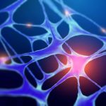 Frozen Mouse Brain Reactivated — And It’s Changing What We Know About Memory