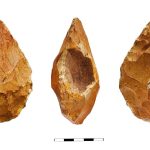 Homo Erectus May Have Chosen Fossil-Embedded Rocks to Touch the Cosmos