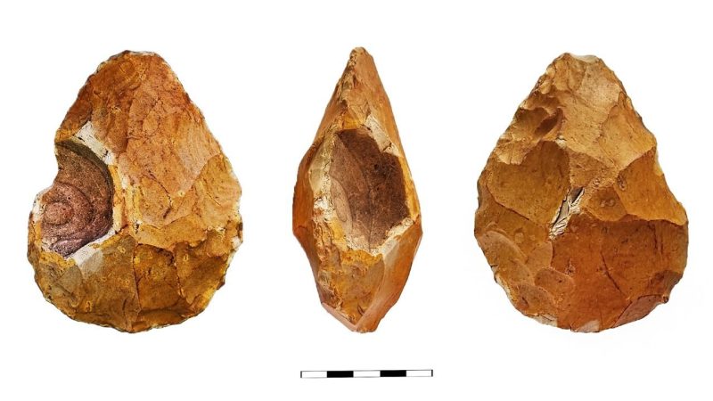 Homo Erectus May Have Chosen Fossil-Embedded Rocks to Touch the Cosmos