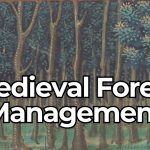 Medieval Normandy Built Forest Rules So Effective They Still Impress