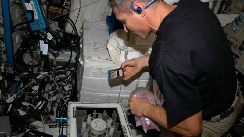 NASA Is Mining Meteorites in Orbit With a Lunchbox Full of Fungi