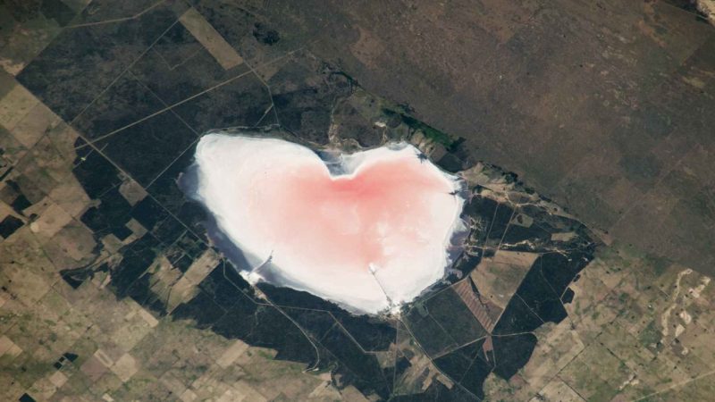 NASA Spotted a Pink Heart in Argentina and Its Color Comes From Microbes