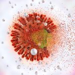 Oslo Patient Likely Cured of HIV After Brother’s Rare Genetic Gift