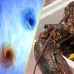 Physicists Just Witnessed Darkness Moving Faster Than Light