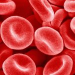Red Blood Cells May Hold the Key to Lower Diabetes Rates at Altitude