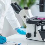 The ‘1 in 200’ Rule About Genghis Khan’s DNA May Be Wrong