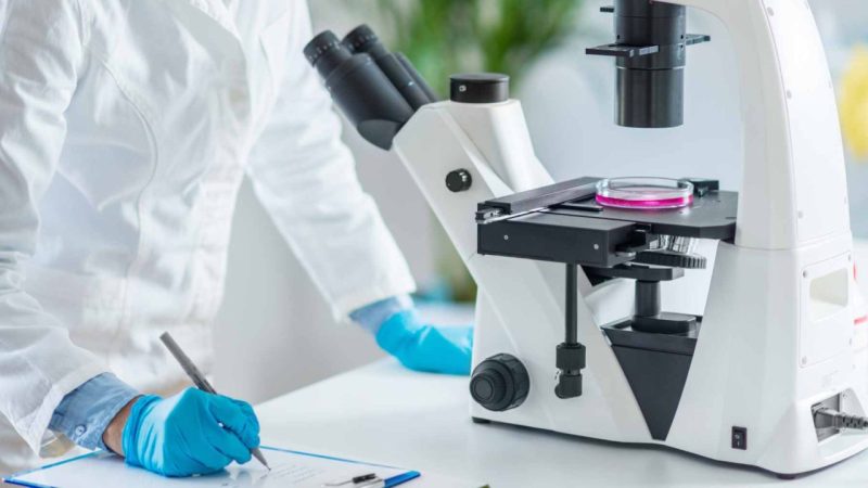 The ‘1 in 200’ Rule About Genghis Khan’s DNA May Be Wrong