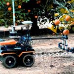 The Orchard Robot That Knows Which Trees Are Thirsty Before Farmers Do
