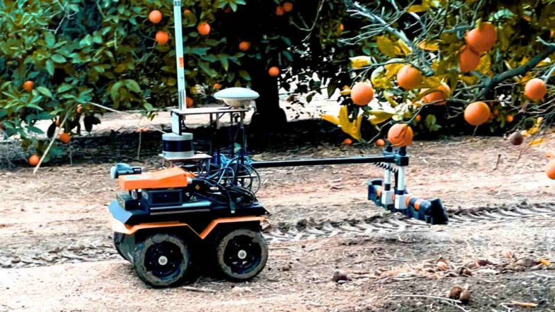 The Orchard Robot That Knows Which Trees Are Thirsty Before Farmers Do