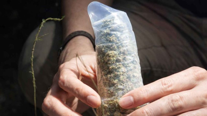 Those Tiny Clay Chimneys in the Amazon Finally Have an Answer