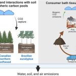 Thousands Have Already Ditched Toilet Paper and They’re Not Going Back