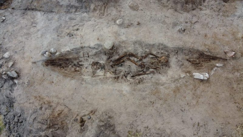 Viking-Age Woman Buried With Her Dog Named Norway’s Most Intriguing 2025 Find