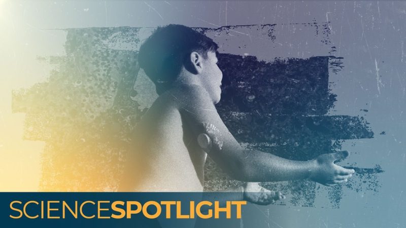 What Scientists Are Actually Saying About a Type 1 Diabetes Cure