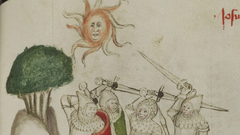 What Tree Rings From 1204 Reveal About a Medieval Solar Storm